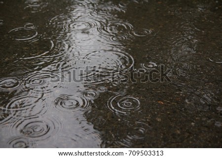 Rainy day, Rain and water ripples. Autum