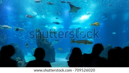 Silhouettes of people against blue aquarium. Lisbon Oceanarium. Royalty-Free Stock Photo #709526020