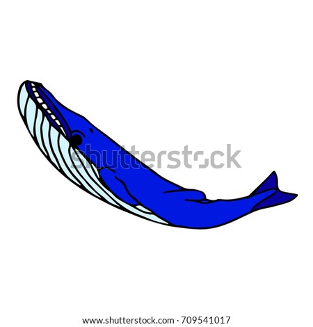 Whale vector illustration. Doodle style. Design icon, print, logo, poster, symbol, decor, textile, paper, card. 