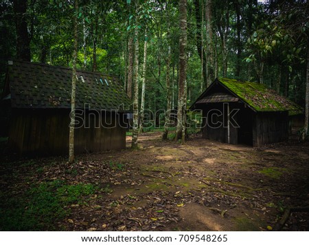 Old Wooden hut in rain forest in dramatic fantasy style.
