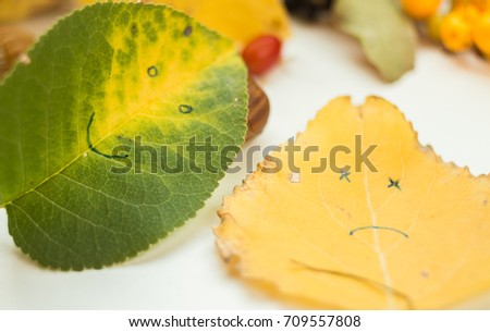 Autumn leafs with emotions, decoration