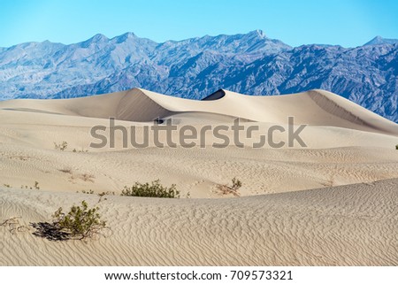 Mesquite Flat Sand Dunes with mountains in the background in Death Valley National Park in California