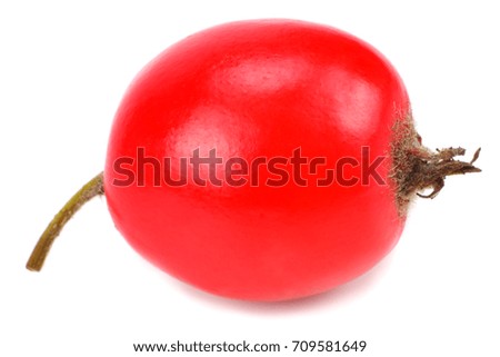 hawthorn berry isolated on white. Clipping Path