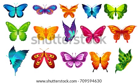 Vector illustration of bright colors butterflies isolated on white background 