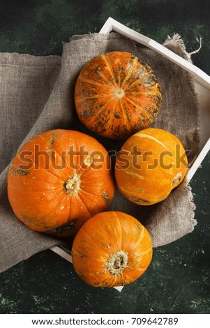 Ripe pumpkins in a white wooden tray on a green background. Top view. Food background