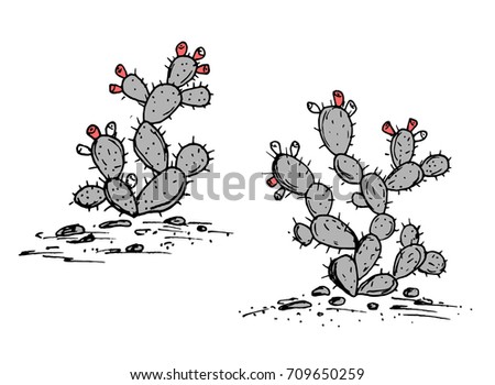 Prickly Pear vector. Opuntia ficus indica sketch. Prickly pear cactus with ripe fruits, two plants set. Hand drawn illustration in stylish color palette. Royalty-Free Stock Photo #709650259