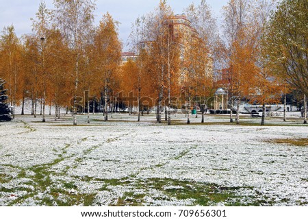 the first early clean snow lies on the ground between the trees in the city park in America