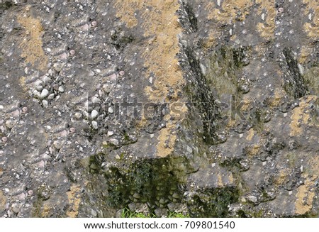 Conglomerate texture rocks is a coarse-grained clastic sedimentary rock composed of a substantial fraction of rounded to subangular gravel-size clasts, e.g.,granules, pebbles, cobbles, and boulders