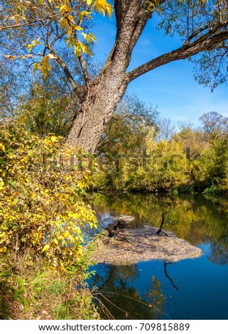 River in the autumn, the golden time of year