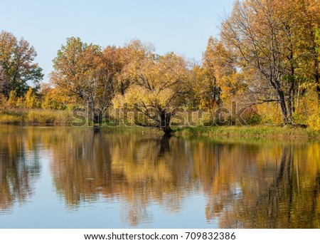 Fall landscape. Beautiful autumn forest in the national park " Sokolki Tatarstan Russia "