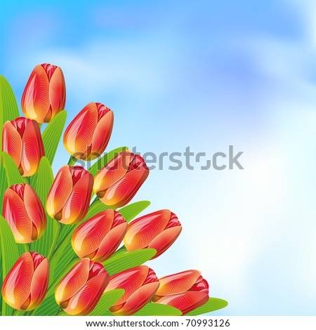 Raster version of vector spring background with blue sky and tulips.Clipping Mask
