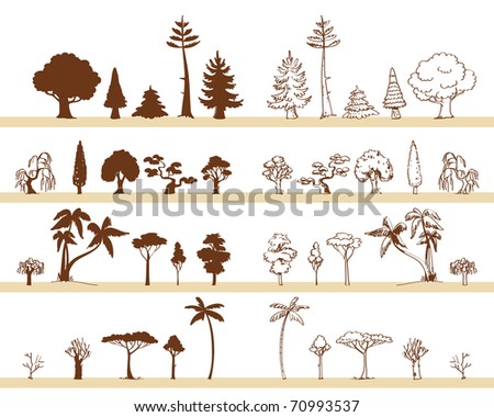 tree vector drawings different species