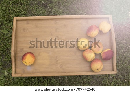Bright nectarines on a wooden tray on a background of green grass. The view from the top