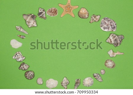 round circle with different sea shells