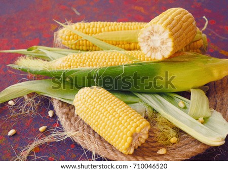 Vegetable composition. Fresh and ripe corn at the colorful background. Fresh corn on cobs on wooden table. Picture of sweet corn cobs background, closeup yellow corn texture, fresh ripe vegetable.