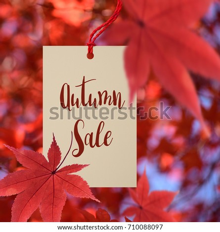 Autumn sale tag with red maple leaves  background, price tag,  label for autumn promotion advertisement