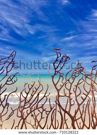 Red branches with sea and sky