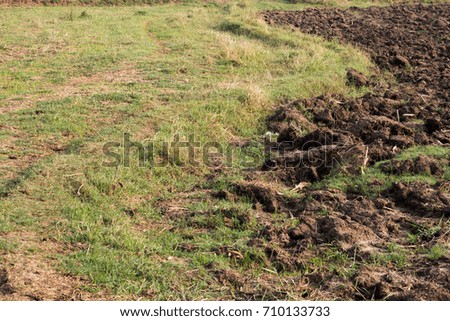 Soil on the field Royalty-Free Stock Photo #710133733