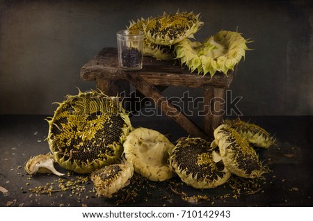 cut sunflowers with black seeds lie on the table