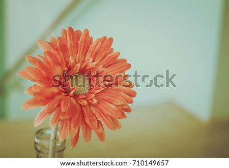 The vintage color and tone of flower, lonely and sad mood