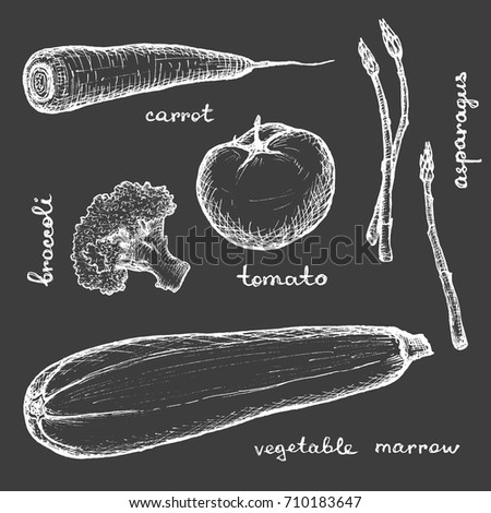 Vegan Menu - Carrot Asparagus Tomato Broccoli Vegetable Marrow - White hand-drawn objects