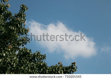 Cloud in the sky Royalty-Free Stock Photo #710201545