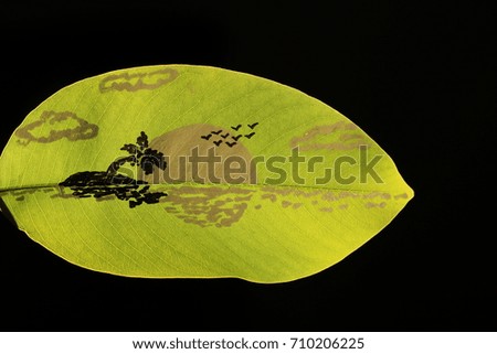 the island painting on green leaf and black background