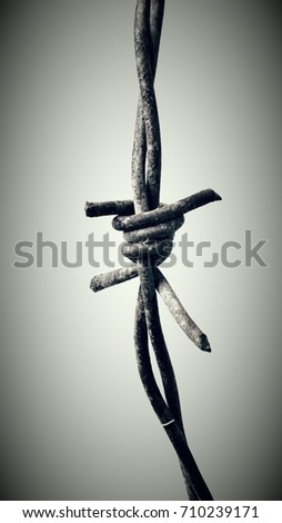 Adjustable barbed wire, decorative colors and effects.