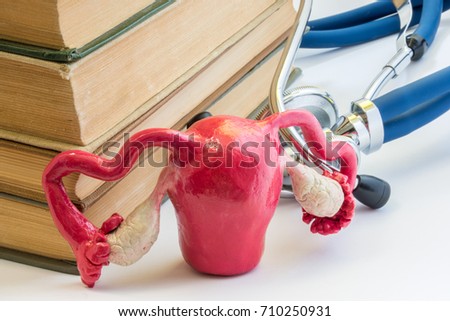 Process of study of female reproductive system photo. Model of uterus with fallopian tubes and ovaries is next to books and stethoscope. Study of women organs in medical university, college, school 