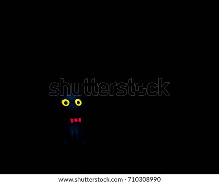 toy cat and snow on a black isolated background