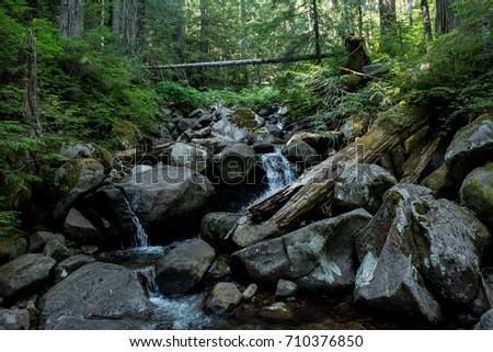 Talapus Trail Creek: A creek along the Talapus Trail. Royalty-Free Stock Photo #710376850