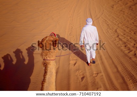 An Arab man in traditional white clothes walk a camel on a leash in the Asian desert, Dubai, United Arab Emirates Royalty-Free Stock Photo #710407192