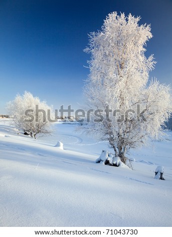 Snow-covered trees on the banks of the river in winter.