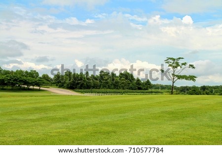 Field of green grass with green trees and blue cloudy sky 