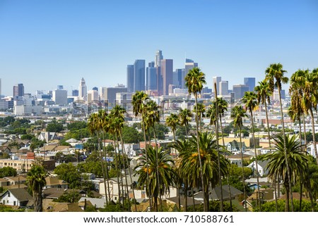 Los Angeles, California, USA downtown skyline and palm trees in foreground