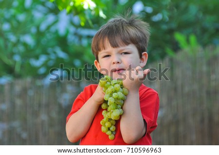 Boy eating grapes. Child eats a large cluster of grapes in the yard