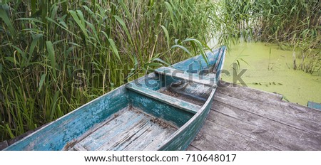 Murky autumn day with old wooden boat near the lake with duckweed and bulrush - calm and peaceful picture