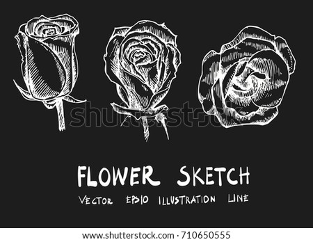 Set of Doodle sketch flower Hand drawn Sketch line vector illustration