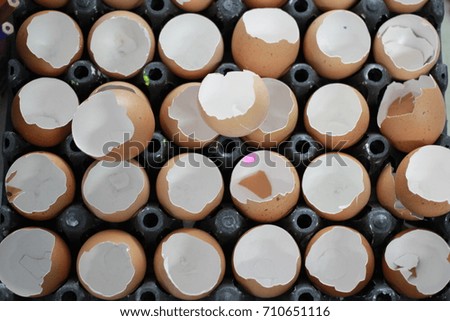 Eggshell cracked pattern background 