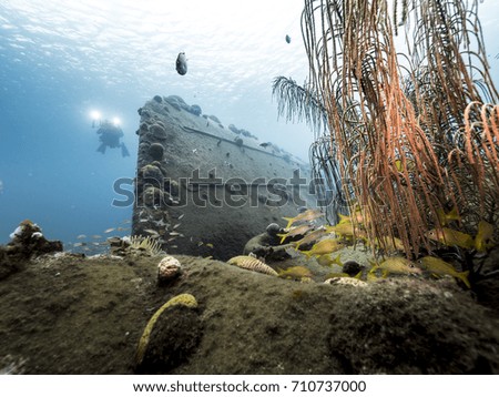 Diver at a ship wreck in the Caribbean Sea around Curacao with colorful soft coral in foreground 