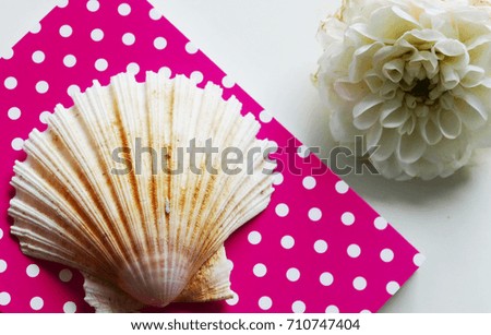 Romantic notes, flower and shell
