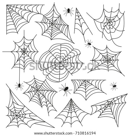 Spider web. Scary halloween cobweb decoration. Horrorarachnid spiderweb elements. Scary animal netting design.