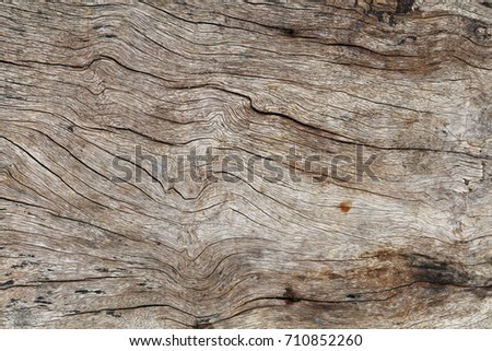 Wooden texture background. texture for add text or work design for backdrop product.