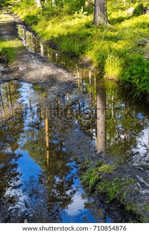 landscape of the dirt forest road and reflection of trees in puddle water on a track