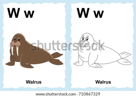 alphabet coloring book page with outline clip art to color. Letter W. Walrus.