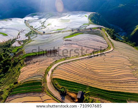 Terraced rice field in water season in Lao Cai, Vietnam