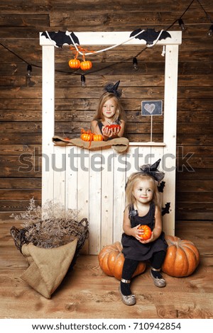 two little girls sisters in costumes witches stand near the stands against the backdrop of a wooden wall in the Studio with pumpkins. Decorations for Halloween