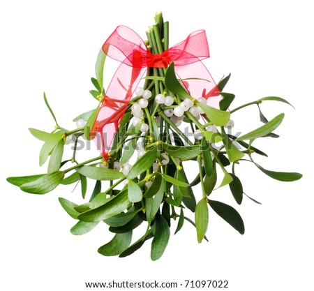 Hanging green mistletoe with a red bow. Isolated on white.