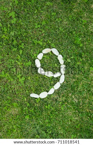 Digit nine made with white stones on green grass. Number nine. Collection of numbers of ocean stones close-up on green garden background.