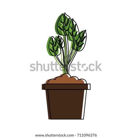 plant in pot icon image 
